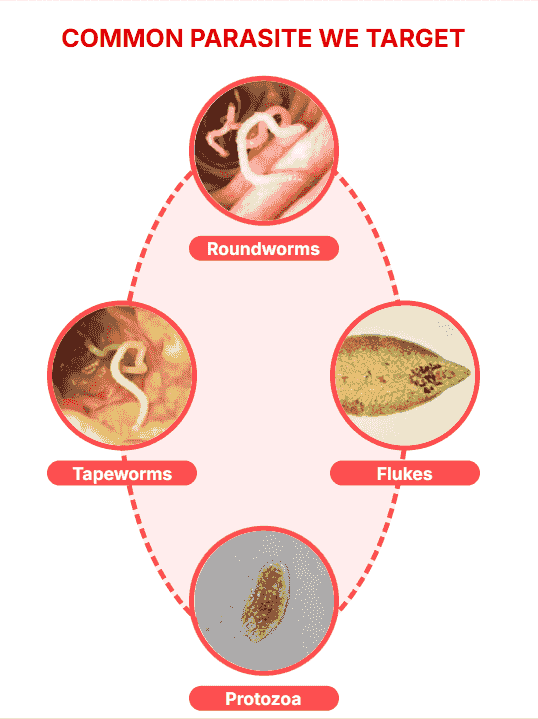 Glass Image Background