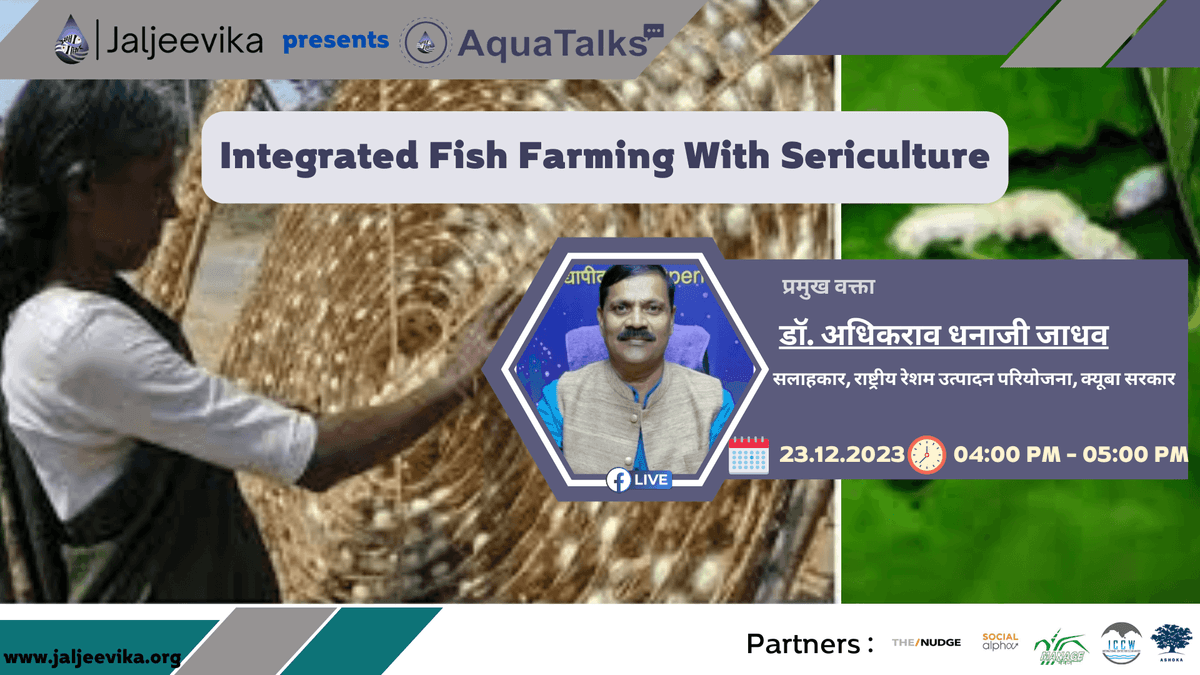 Integrated Fish Farming With Sericulture